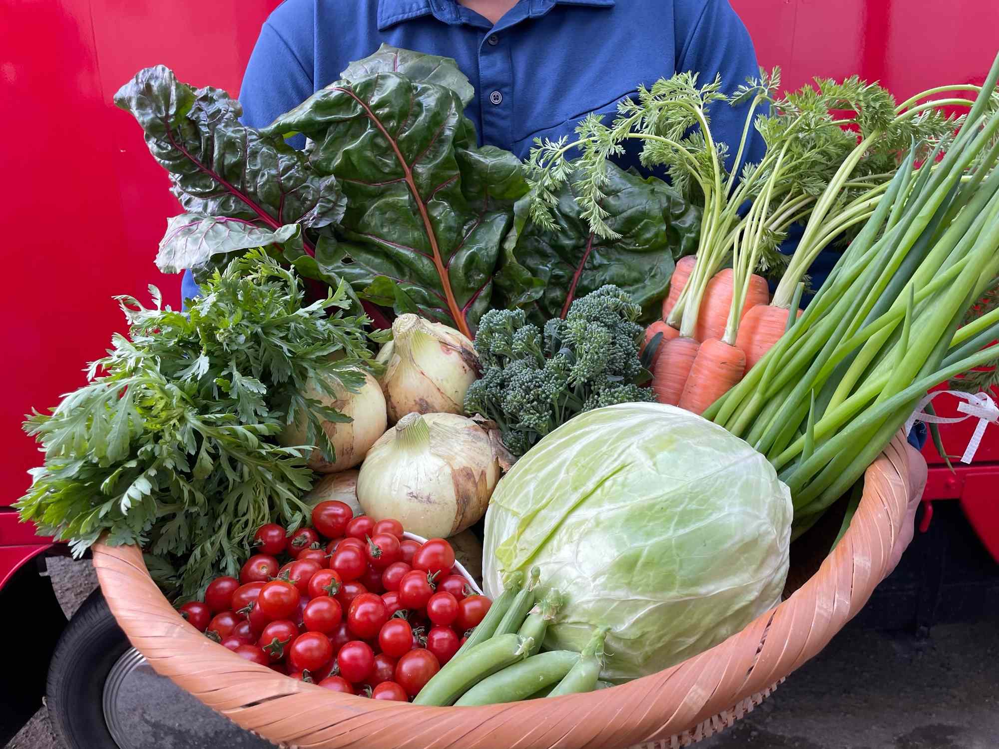 色とりどりの新鮮な野菜が盛られた大きなバスケット。ミニトマト、キャベツ、にんじん、玉ねぎ、スナップエンドウ、スイスチャードなどが含まれている。